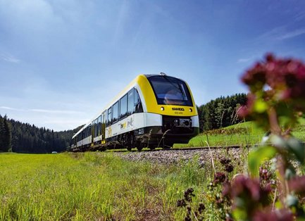 Zug mit Wiese im Vordergrund